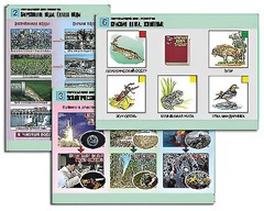 Комплект таблиц "Окружающий мир. Экология" (6 таблиц, А1, ламинированные) - fgospostavki.ru - Тихорецк