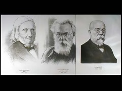 Портреты биологов (26 штук, формат А3) - fgospostavki.ru - Тихорецк