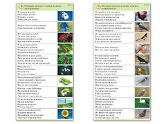 Комплект карточек (10) "Обучающий калейдоскоп. Природа" - fgospostavki.ru - Тихорецк