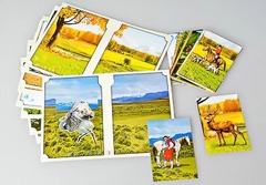 Настольно-печатная игра "Вокруг света" - fgospostavki.ru - Тихорецк