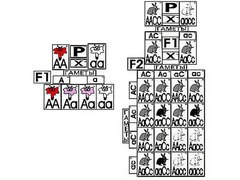 Модель-аппликация "Неполное доминирование и взаимодействие генов" (ламинированная) - fgospostavki.ru - Тихорецк