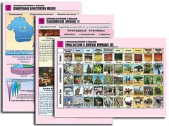 Комплект таблиц по географии "Природа материков и океанов" раздаточные (цветные, ламинированные, А4, 12 штук) - fgospostavki.ru - Тихорецк