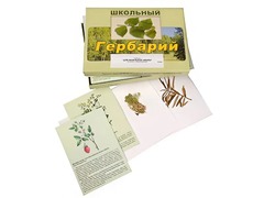Гербарий "Для начальной школы" (30 видов, с иллюстрациями) - fgospostavki.ru - Тихорецк