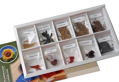 Коллекция "Плоды сельскохозяйственных растений" - fgospostavki.ru - Тихорецк