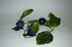 Ветка муляжей "Слива" - fgospostavki.ru - Тихорецк