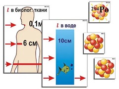 Модель-аппликация "Явление радиоактивности" (ламинированная) - fgospostavki.ru - Тихорецк