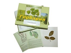 Гербарий "Дикорастущие растения" (30 видов, с иллюстрациями) - fgospostavki.ru - Тихорецк