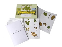 Гербарий "Морфология растений" (6 тем, 30 видов) - fgospostavki.ru - Тихорецк