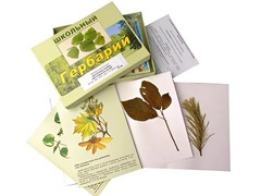 Гербарий "Жизненные формы цветковых растений" (раздаточный) - fgospostavki.ru - Тихорецк