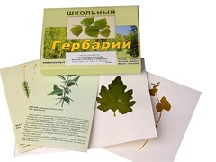 Гербарий "Систематика растений. Высшие споровые и семенные" (раздаточный) - fgospostavki.ru - Тихорецк