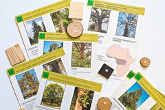 Коллекция "Древесные растения и их распространение" (демонстрационная) - fgospostavki.ru - Тихорецк