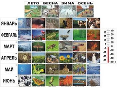 Фенологические наблюдения - fgospostavki.ru - Тихорецк