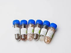 Набор № 6 ОС Щелочные и щелочноземельные металлы - fgospostavki.ru - Тихорецк