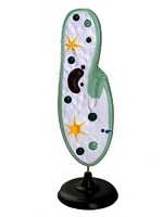 Модель инфузории-туфельки - fgospostavki.ru - Тихорецк