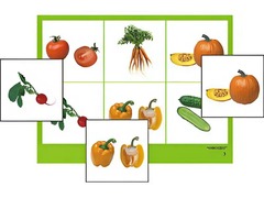 Логопедическое лото "Овощи" (4 планшета, 24 карточки, цветное, ламинированное) - fgospostavki.ru - Тихорецк