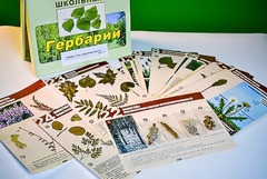 Гербарий к курсу основ общей биологии - fgospostavki.ru - Тихорецк