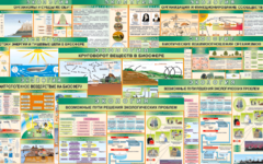 Комплект таблиц "Экология (9 листов)" (100х140 сантиметров, винил) - fgospostavki.ru - Тихорецк