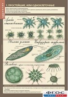 Комплект таблиц. Биология 7 класс. Животные. - fgospostavki.ru - Тихорецк