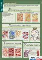 Комплект таблиц. Биология 8-9 класс. Человек. - fgospostavki.ru - Тихорецк