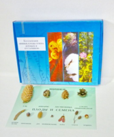 Коллекция "Шишки, плоды, семена деревьев и кустарников" - fgospostavki.ru - Тихорецк