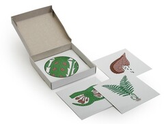 Модель-аппликация "Размножение папоротника" (набор из 8 карт) - fgospostavki.ru - Тихорецк