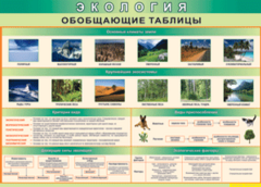 Таблица "Экология. Обобщающие таблицы" (100х140 сантиметров, винил) - fgospostavki.ru - Тихорецк
