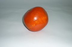 Муляж "Гранат" - fgospostavki.ru - Тихорецк