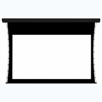 Экран настенный с электроприводом DSTPX-16916 - fgospostavki.ru - Тихорецк