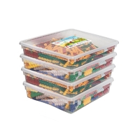 Набор для конструирования «Фанкластик: весь мир в руках твоих 4 (4-5 лет)» - fgospostavki.ru - Тихорецк