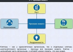 Интерактивные курсы. Биология 5 класс. Базовый - fgospostavki.ru - Тихорецк