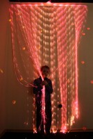 Мерцающий занавес в комплекте с источником света - fgospostavki.ru - Тихорецк