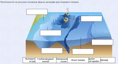 Интерактивные курсы. География 7 класс . Базовый. - fgospostavki.ru - Тихорецк