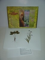 Гербарий "Лекарственные растения" (20 видов) - fgospostavki.ru - Тихорецк