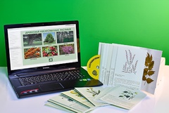 Гербарий натурально-интерактивный "Лекарственные растения" - fgospostavki.ru - Тихорецк