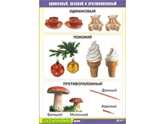 Таблица демонстрационная "Одинаковый, похожий и противоположный" (винил 70x100) - fgospostavki.ru - Тихорецк