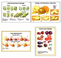 Плакаты ПРОФТЕХ "Ассортимент овощных культур" (12 пл, винил, 70х100) - fgospostavki.ru - Тихорецк