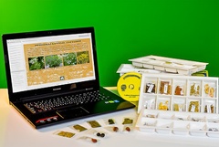 Коллекция натурально-интерактивная "Плоды сельскохозяйственных растений" - fgospostavki.ru - Тихорецк