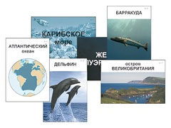 Модель-аппликация "Океаны. Знакомство" (ламинированная) - fgospostavki.ru - Тихорецк