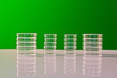 Набор чашек Петри - fgospostavki.ru - Тихорецк