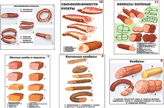 Плакаты ПРОФТЕХ "Ассортимент колбасной и мясной продукции" (11 пл, винил, 70х100) - fgospostavki.ru - Тихорецк