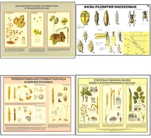 Плакаты ПРОФТЕХ "Вредители и болезни с/х культур и меры борьбы с ними" (11 пл, винил, 70х100) - fgospostavki.ru - Тихорецк