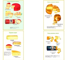 Плакаты ПРОФТЕХ "Ассортимент сыров" (9 пл, винил, 70х100) - fgospostavki.ru - Тихорецк