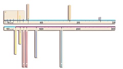 Модель-аппликация "Расстояния во Вселенной" - fgospostavki.ru - Тихорецк