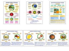 Плакаты ПРОФТЕХ "Плоды" (6 пл, винил, 70х100) - fgospostavki.ru - Тихорецк