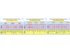 Плакаты ПРОФТЕХ "Ассортимент продовольственных товаров" (3 пл, винил, 70х100) - fgospostavki.ru - Тихорецк