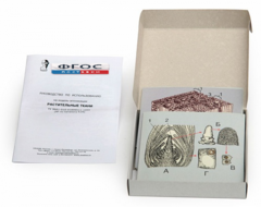 Модель-аппликация "Растительные ткани" (набор из 15 карт) - fgospostavki.ru - Тихорецк