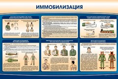 Стенд "Иммобилизация" - fgospostavki.ru - Тихорецк