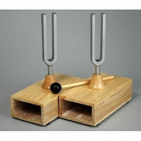 Камертоны на резонансных ящиках с молоточком - fgospostavki.ru - Тихорецк