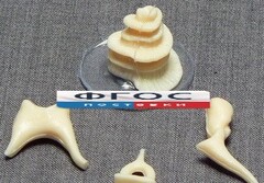 Модель "Косточки слуховые" - fgospostavki.ru - Тихорецк