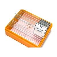 Набор готовых микропрепаратов (зоология) - fgospostavki.ru - Тихорецк